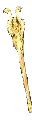 Chromatic Staff +7