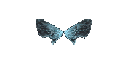 Small Wings of Elf