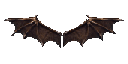 Small Wings of Satan