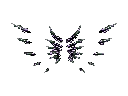 Wings of Darkness +11