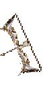 Silver Bow +11